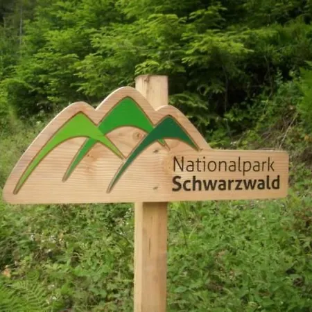 Apartment Baer By Interhome Baiersbronn