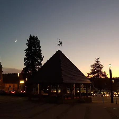 Apartment Baer By Interhome Baiersbronn