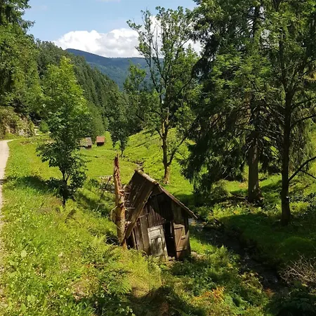 Baer By Interhome Baiersbronn