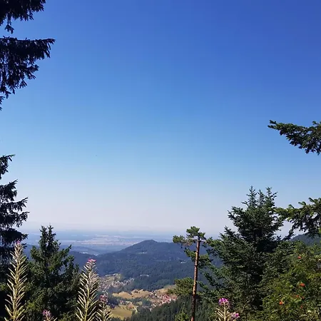 Baer By Interhome Apartment *