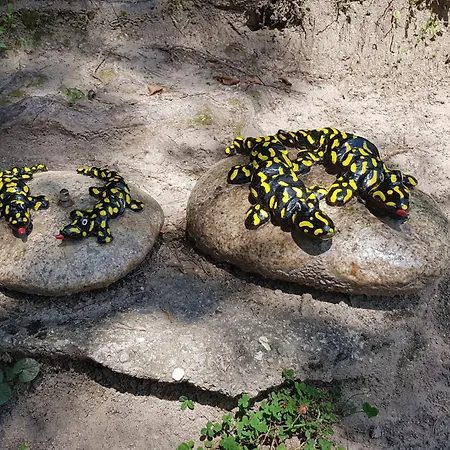 Apartment Baer By Interhome