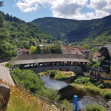 Baer By Interhome Baiersbronn