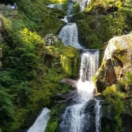 Apartment Baer By Interhome Baiersbronn