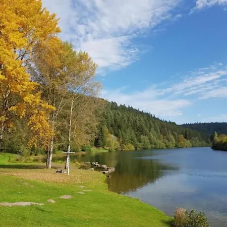 Baer By Interhome Baiersbronn