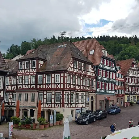 Baer By Interhome * Baiersbronn