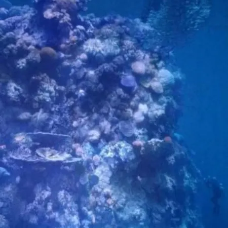 Baer By Interhome Baiersbronn