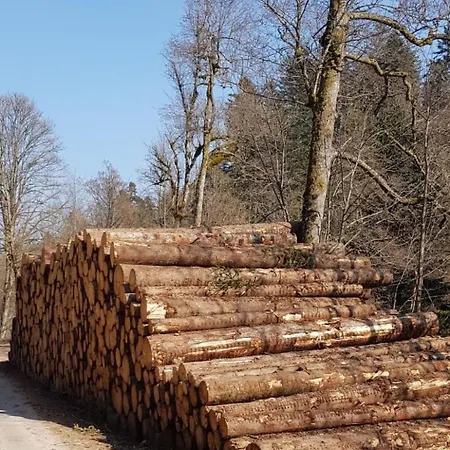 Apartment Baer By Interhome Baiersbronn