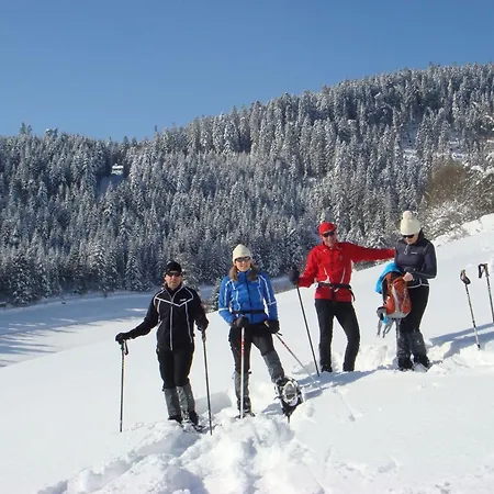 Baer By Interhome * Baiersbronn