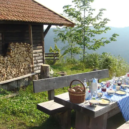 Baer By Interhome Baiersbronn