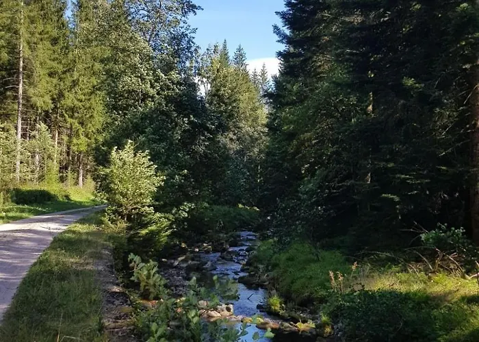 Appartement Baer By Interhome *