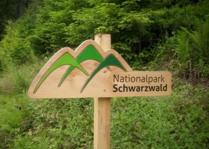 Appartement Baer By Interhome Baiersbronn