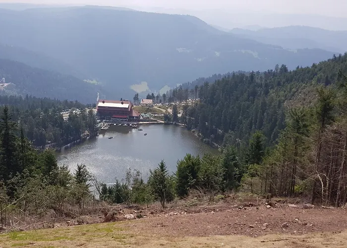 Baer By Interhome Appartement *