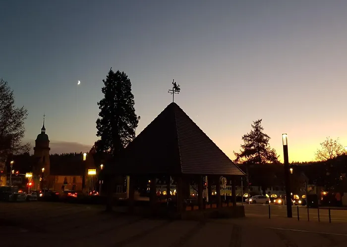 Appartement Baer By Interhome Baiersbronn