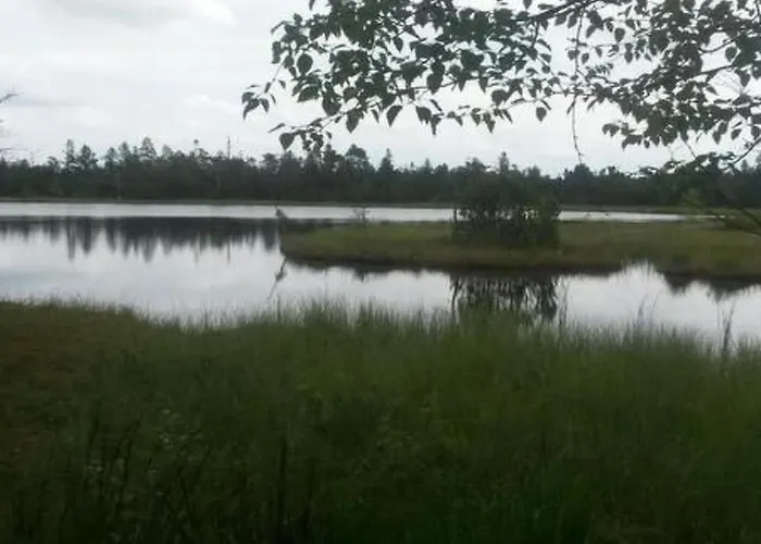 Appartement Baer By Interhome Baiersbronn