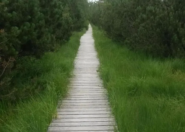 Baer By Interhome Appartement