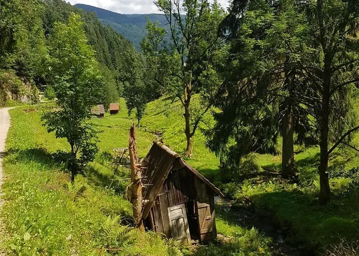 Baer By Interhome Baiersbronn