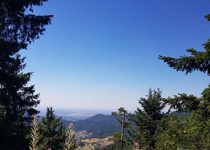 Baer By Interhome Appartement *