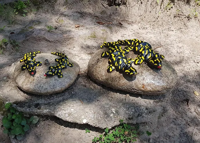 Appartement Baer By Interhome