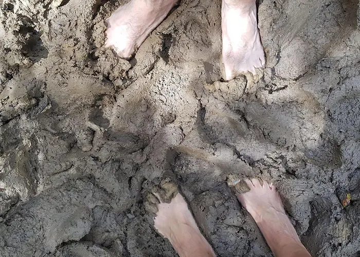 Baer By Interhome Appartement