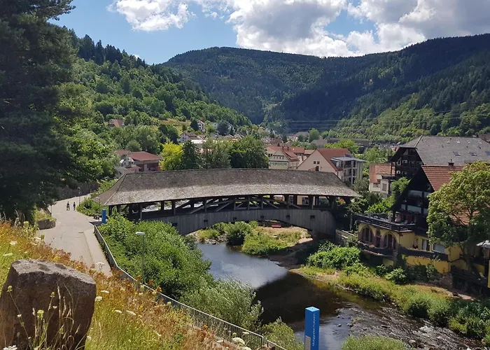 Baer By Interhome Baiersbronn