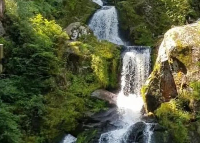 Appartement Baer By Interhome Baiersbronn