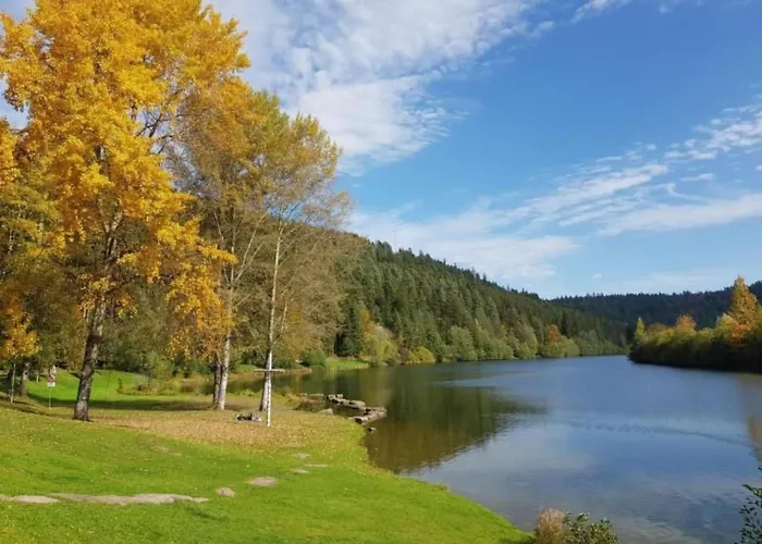 Baer By Interhome Baiersbronn