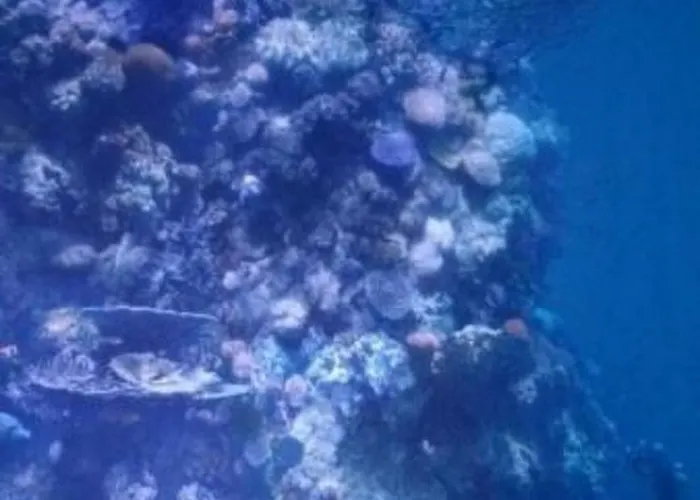 Baer By Interhome Baiersbronn