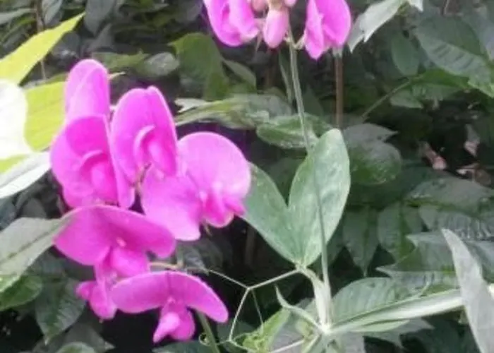 Baer By Interhome Appartement Baiersbronn