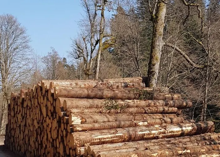 Appartement Baer By Interhome Baiersbronn