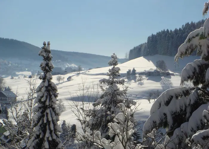 Appartement Baer By Interhome