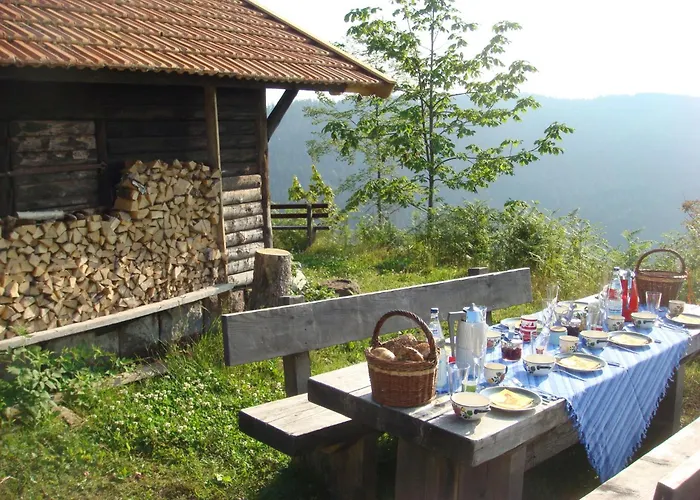 Baer By Interhome Baiersbronn